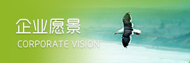 企业愿景