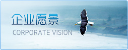 企业愿景