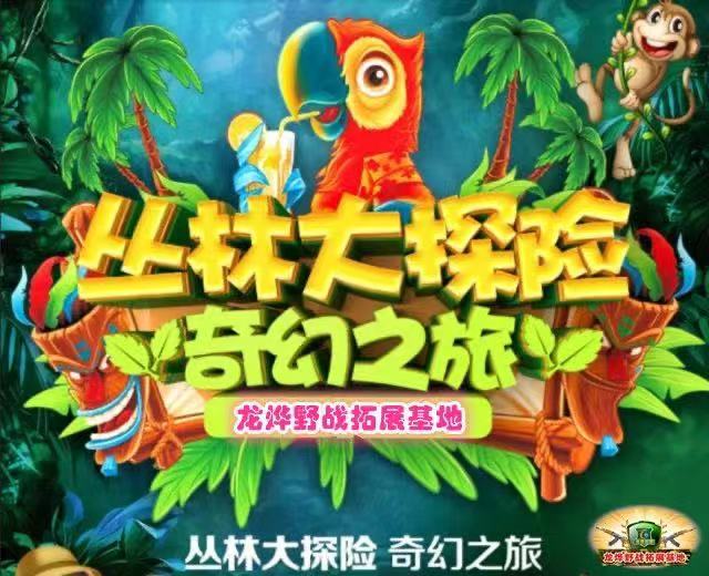 森林探险+野炊/烧烤，新颖活动，户外新体验